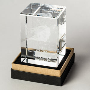 Stikla kubs ar 3D lāzergravējumu izvietots dāvanu kastē