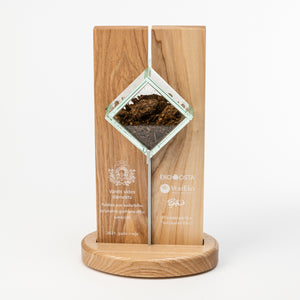 Unikāla koka stikla metāla balva_individuāla dizaina balva_apbalvojumi_kausi_medaļas_Awards and Medal Studio